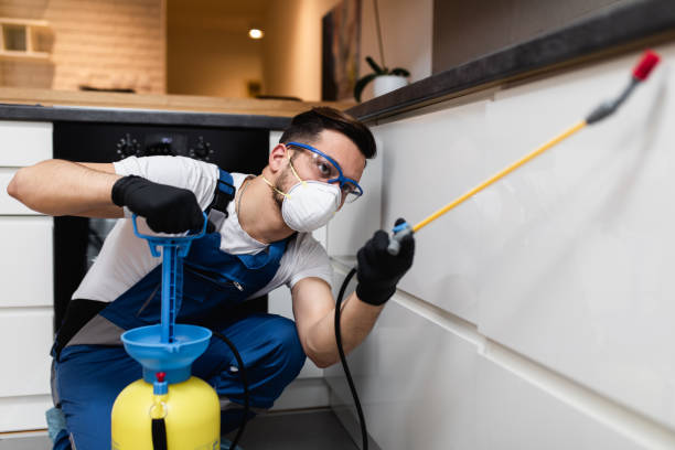 Best Pest Removal Services  in Shenandoah, LA