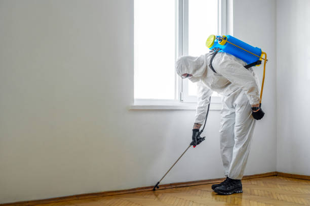 Best Mosquito Control Services  in Shenandoah, LA