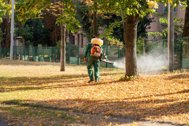 Best Pest Inspection Near Me  in Shenandoah, LA