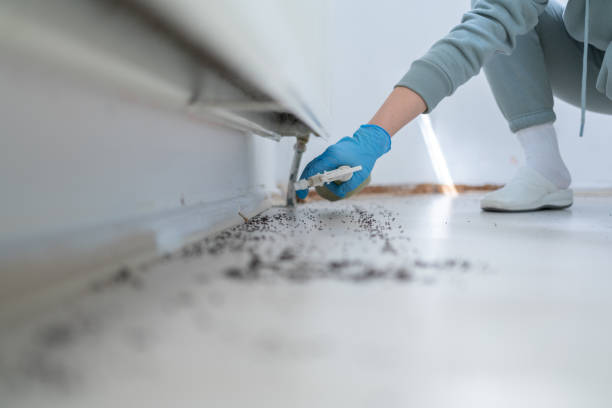 Best Commercial Pest Control Services  in Shenandoah, LA